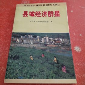 1995年陕西省人民政府研究室编《县域经济群星》，内容丰富，内页自然变旧