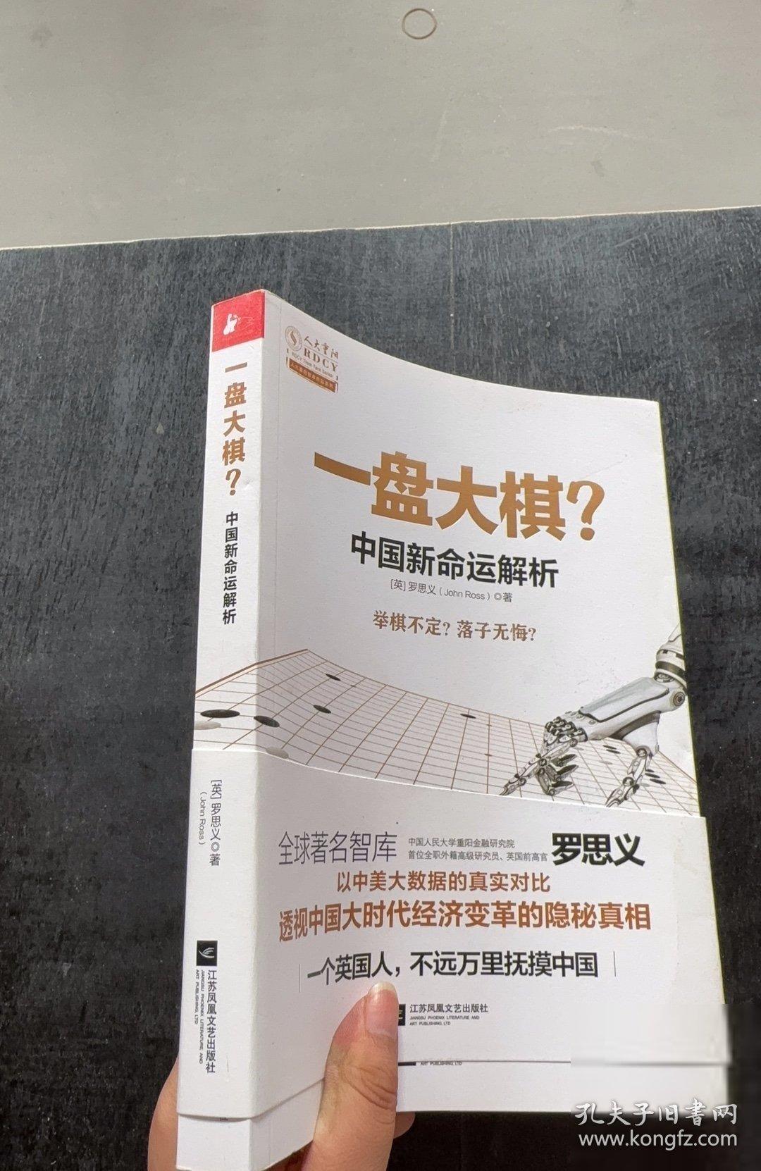 一盘大棋？中国新命运解析