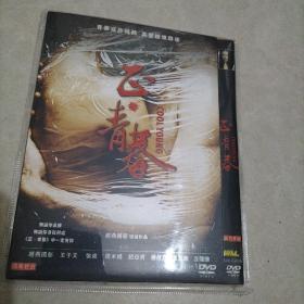 正青春dvd