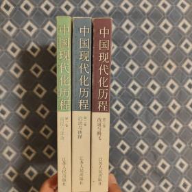 中国现代化历程（共3卷）（2002年版 品好 图书合格证卡片仍在）