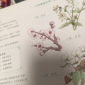 讲给孩子的二十四节气·春