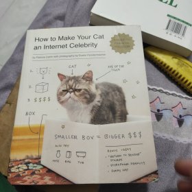 How to Make Your Cat an Internet Celebrity: A Guide to Financial Freedom