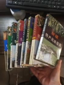 新疆，河北，上海、山西，内蒙古，福建，黑龙江，辽宁，吉林，湖南，安徽，贵州特产风味指南（12本合售）