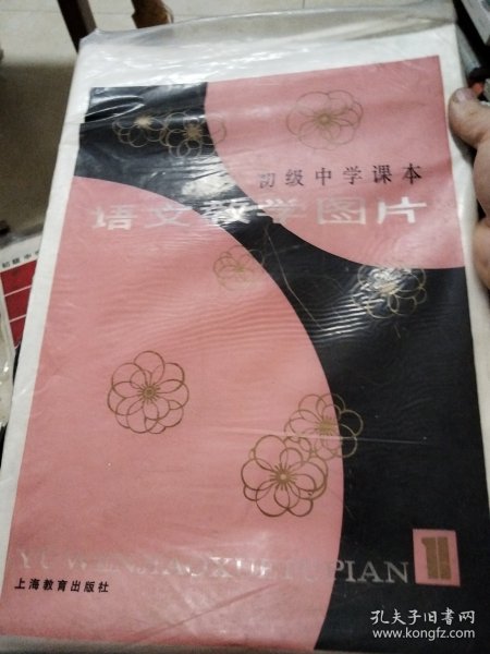 初级中学课本语文教学图片1一18张