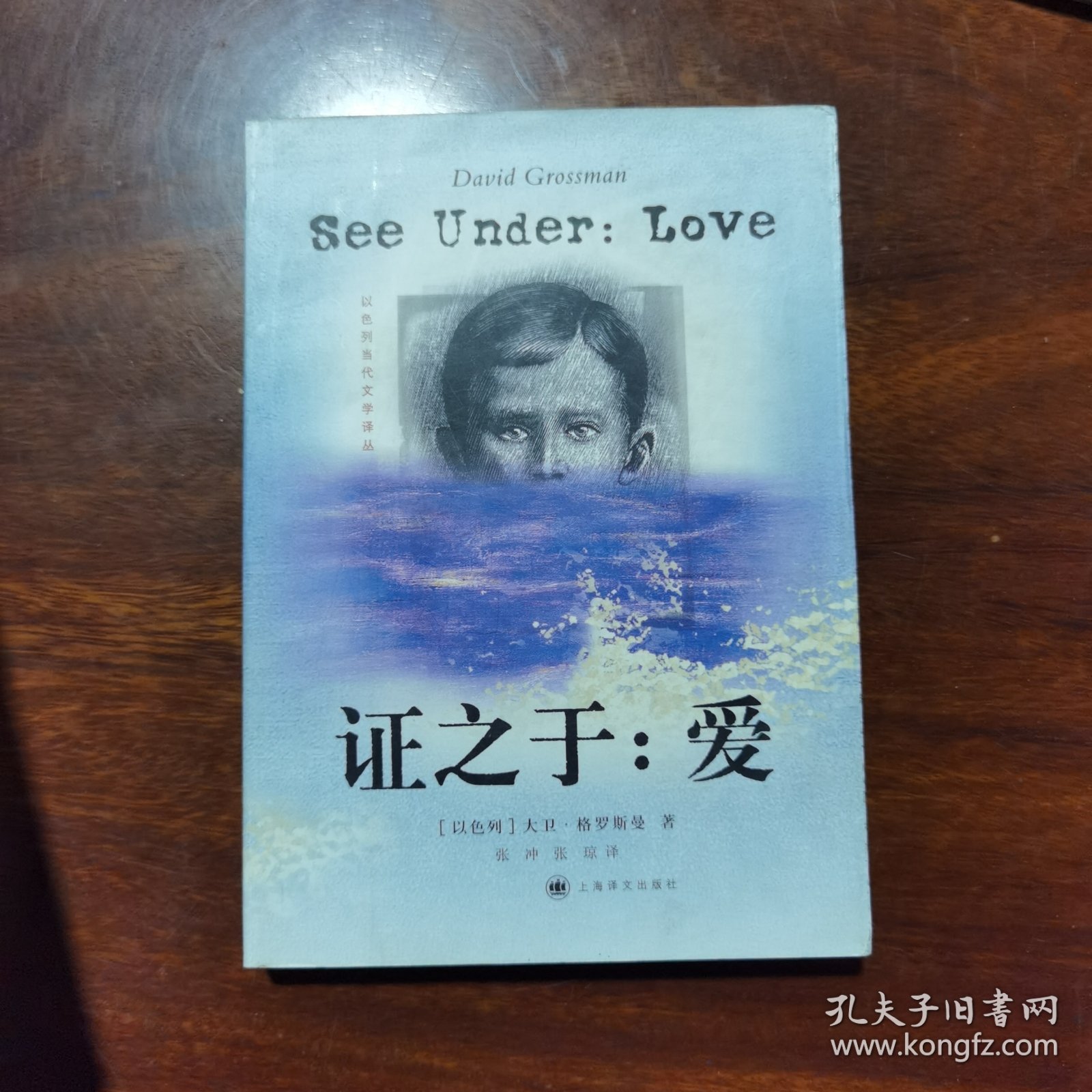 证之于：爱（以色列作家作品）