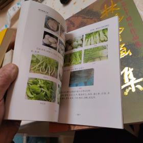 痛风健康手册