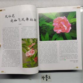 园林与植保珍藏版（下册）