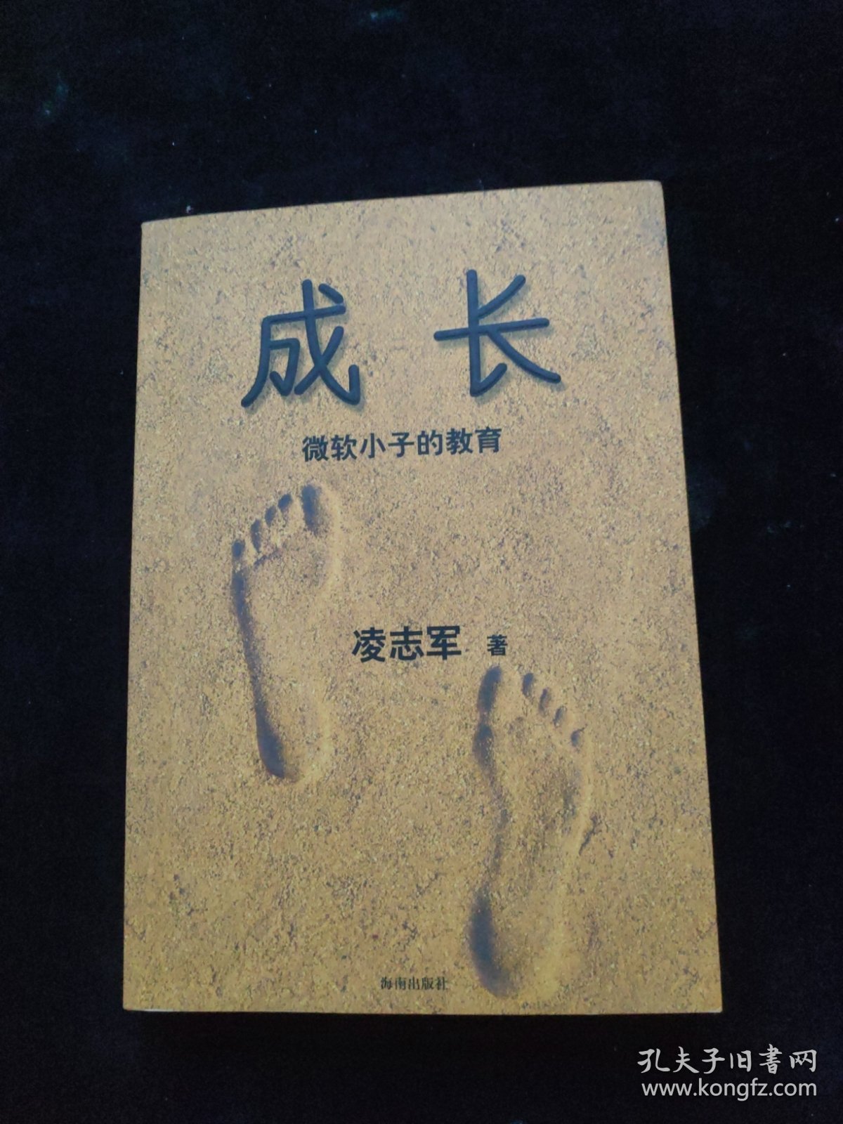 成长：微软小子的教育