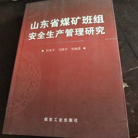山东省煤矿班组安全生产管理研究