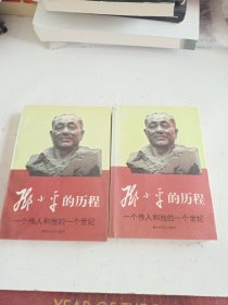 邓小平的历程：一个伟人和他的一个世纪——一代天骄丛书(两册)