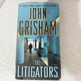 The Litigators A Novel