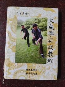 正版原版彩图 大成拳实战教程 含器械 实作述真 技击势摇子午 推手与断手 等