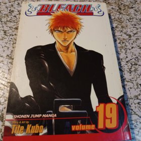 Bleach,Volume19
