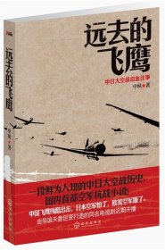 远去的飞鹰：中日大空战浴血往事