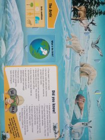 ANIMALS LIFE-THE-FLAP BOOK 动物翻翻书