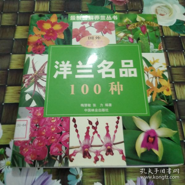 洋兰名品100种