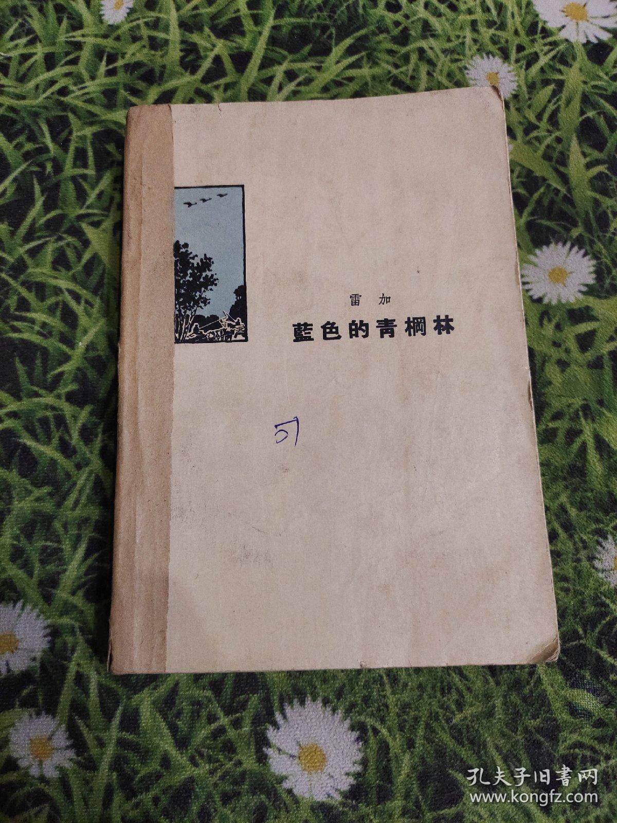 蓝色的青棡林