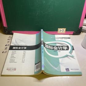 国际会计学/21世纪经济管理精品教材·会计学系列