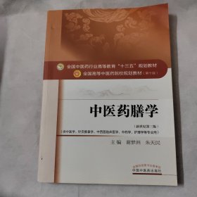 中医药膳学——十三五规划