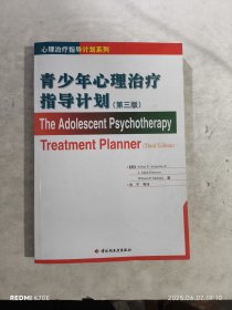 青少年心理治疗指导计划——心理治疗指导计划系列（第三版）