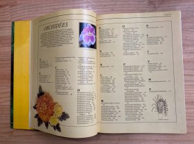 plantes d'intérieur (意大利植物)精装