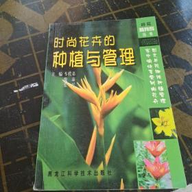 时尚花卉的种植与管理