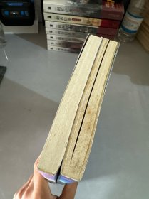 苏丹的禁宫（上下）