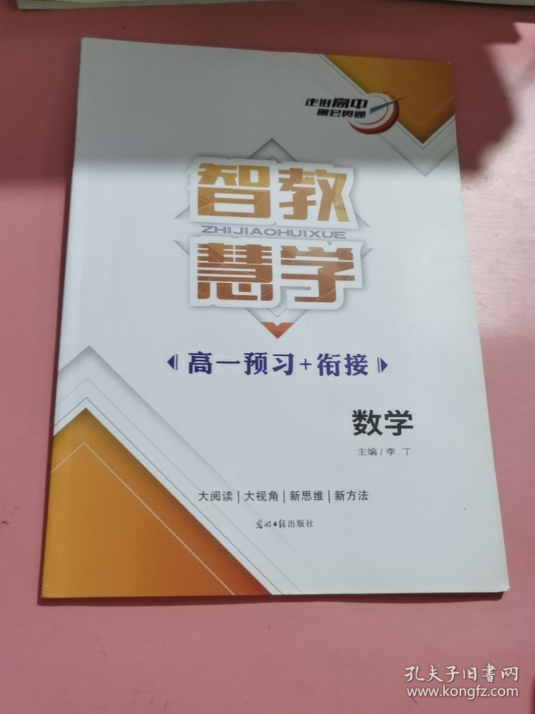 智教慧学 李丁主编 光明日报出版社 9787511296290