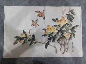 彭梦春 文化底蕴 有年代感旧作 从印泥篆刻可看出其非普通江湖画家（据藏家介绍说:作者是80、90年代南京师范大学老教授 具体请自鉴）横幅枇杷 麻雀 68厘米X45厘米（因年代较久有瑕疵或边角有破损）作品宣纸年代较久可能带有年代感的黄斑介意者勿拍 国画老作 年代约: 90年代末（具体哪年哪月不详） 未装裱宣纸画芯 下单后折叠装信封发货