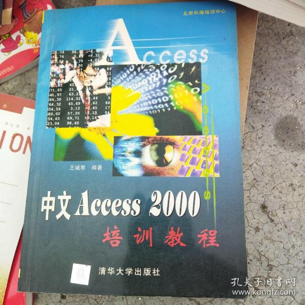 中文 Access 2000 培训教程