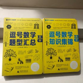 逗号数学知识集锦  逗号数学题型汇总 高中 两本合售