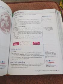 PRENTICE HALL LITERATURE 精装