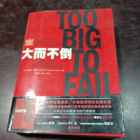 大而不倒：2010年全球政要和首席执行官争相阅读的金融危机启示录