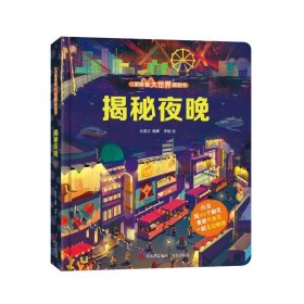 揭秘夜晚（小眼睛看大世界翻翻书）