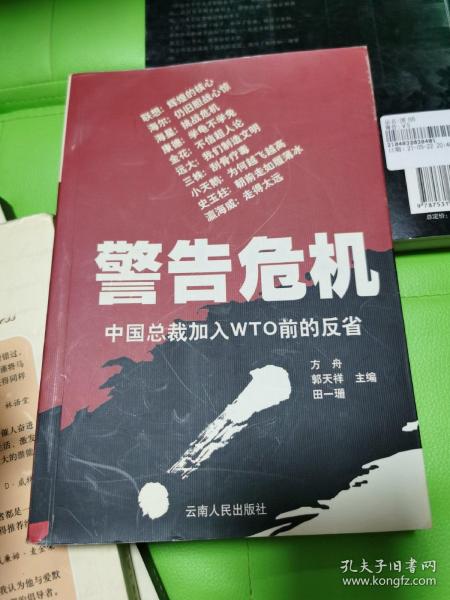 警告危机:中国总裁加入WTO前的反省