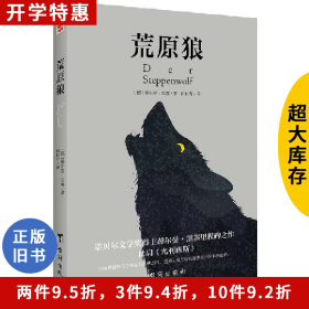 荒原狼[德] 赫尔曼·黑塞 著，田伟华 译台海出版社
