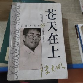 苍天在上
