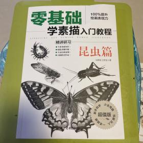 零基础学素描入门教程 昆虫篇