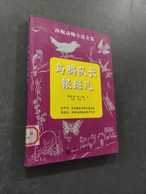 乌鸦队长银斑儿