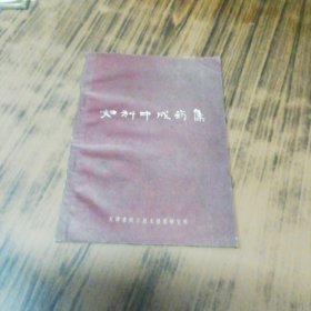 妇科中成药集