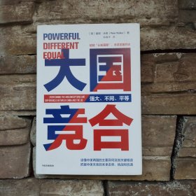 大国竞合：把握中美关系的未来走势、挑战和机遇