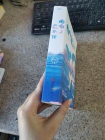 偷偷藏不住（全二册）竹已晋江金榜作品段嘉许VS桑稚
