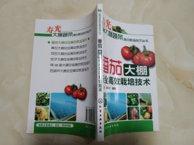 番茄大棚安全高效栽培技术 寿光大棚蔬菜栽培技术