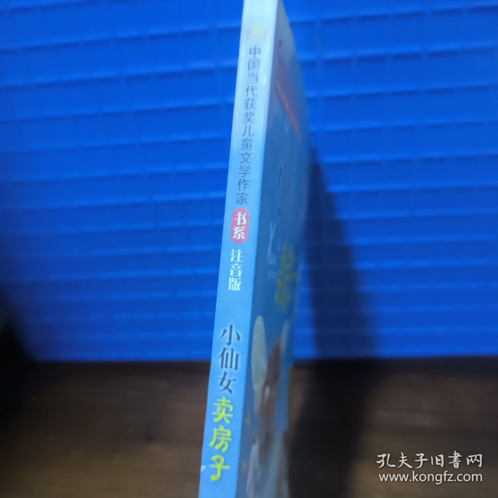 小仙女卖房子（中国当代获奖儿童文学作家书系）