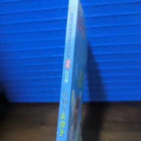 小仙女卖房子（中国当代获奖儿童文学作家书系）