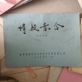 情投意合 电影台本