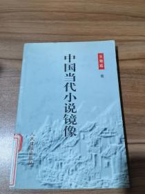 中国当代小说镜像