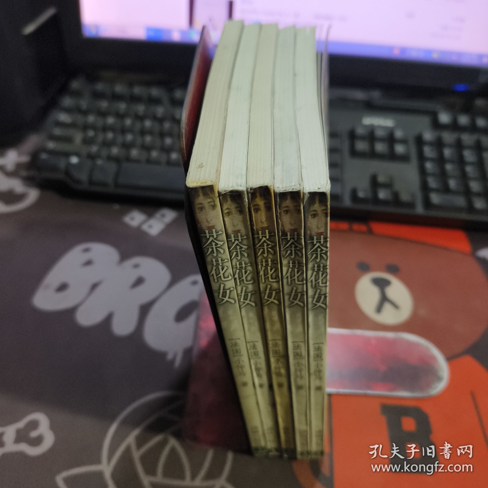 茶花女（平装）译林世界文学名著 古典系列