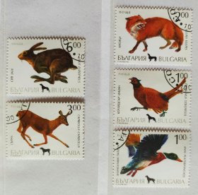 外国邮票～1993年保加利亚盖销邮票《森林动物》5全