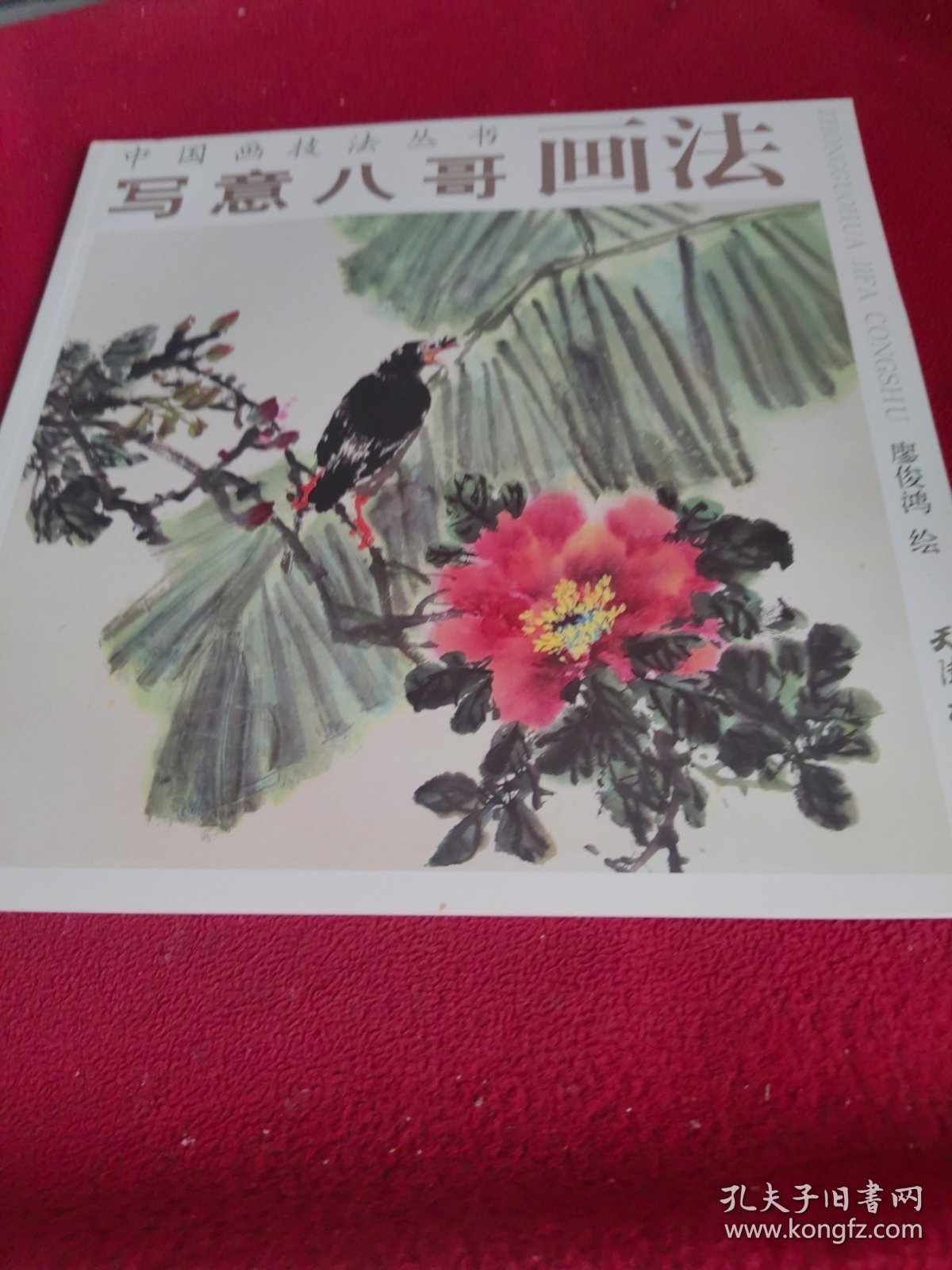 写意八哥画法